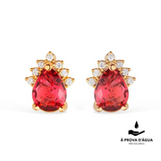 24K Gold Red Natural Stone Earrings
